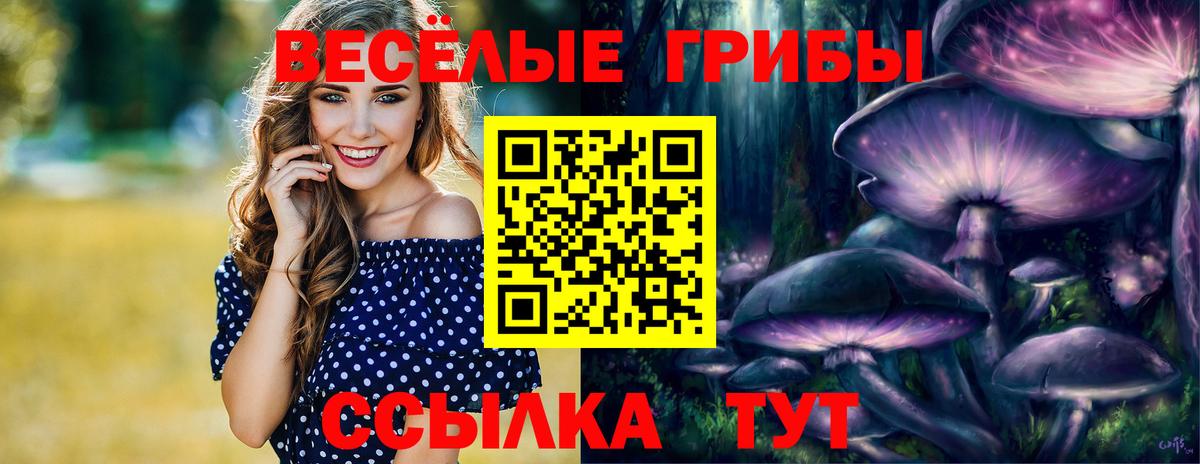 Тула  где продают   Галлюциногенные грибы Cubensis  Вход с VPN  Галлюциногенные грибы прущие грибы 